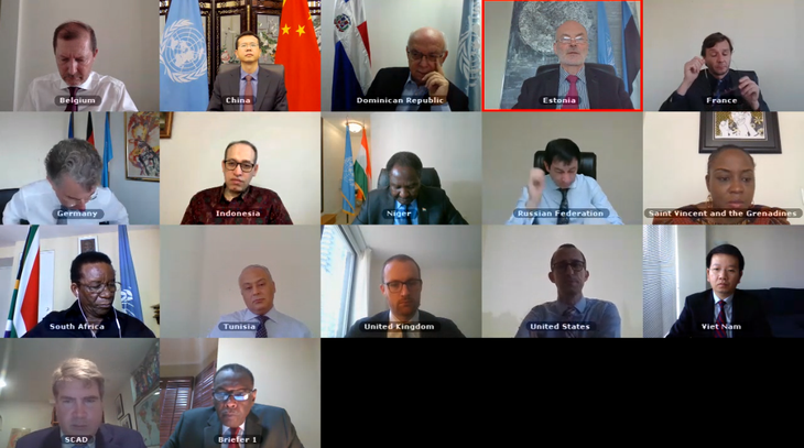 СБ ООН провел виртуальное заседание по ситуации в Судане и Сомали - ảnh 1