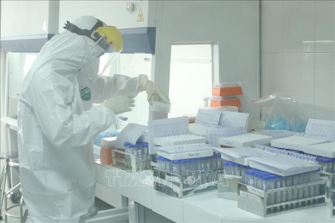 Во Вьетнаме не выявлены новые случаи заражения коронавирусом - ảnh 1