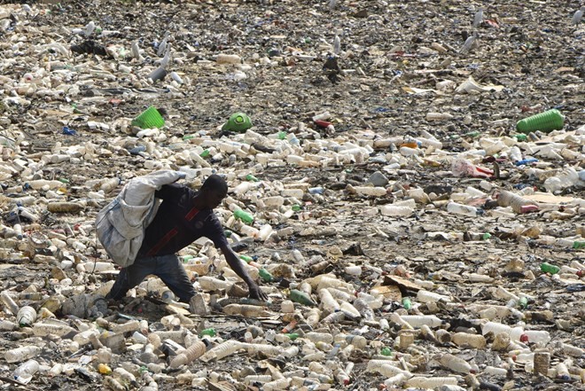 세계 환경의 날 : 유엔은 비닐봉투 사용 제한을  강력 촉구 - ảnh 1