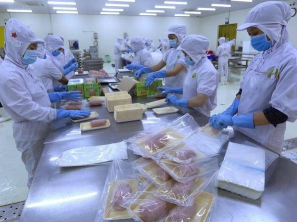 무디스:  베트남 경제는 높은 성장 잠재력 - ảnh 1