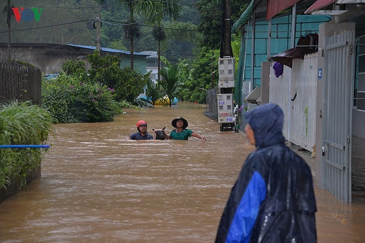 홍수 여파를  시급히  극복  - ảnh 1
