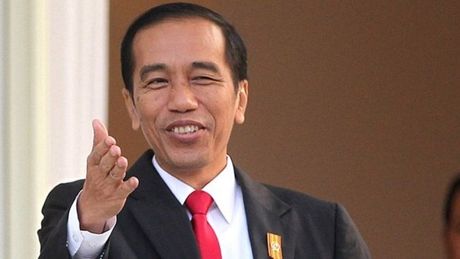 인도네시아 대통령 및 부인, 베트남 국빈 방문 - ảnh 1