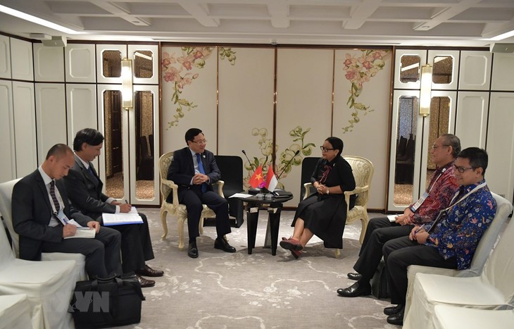 Việt Nam - Indonesia tiếp tục xúc tiến đàm phán phân định vùng đặc quyền kinh tế - ảnh 1