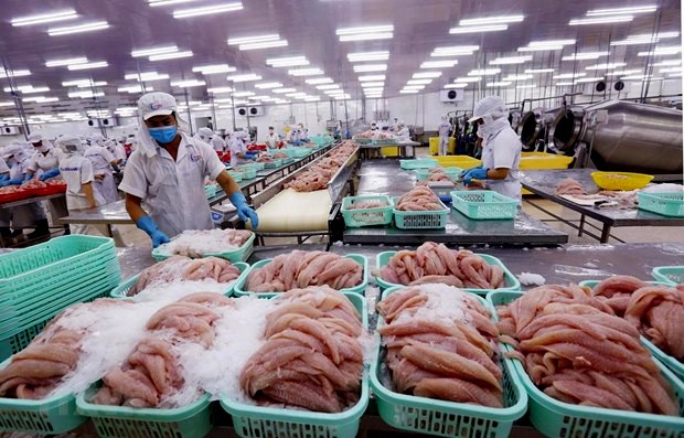 Hoa Kỳ công nhận tương đương hệ thống kiểm soát an toàn thực phẩm cá da trơn của Việt Nam - ảnh 1