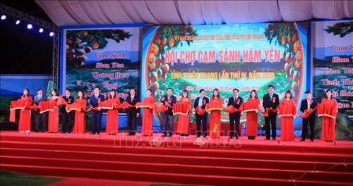 Hội chợ cam sành Hàm Yên (Tuyên Quang) năm 2020 - ảnh 1