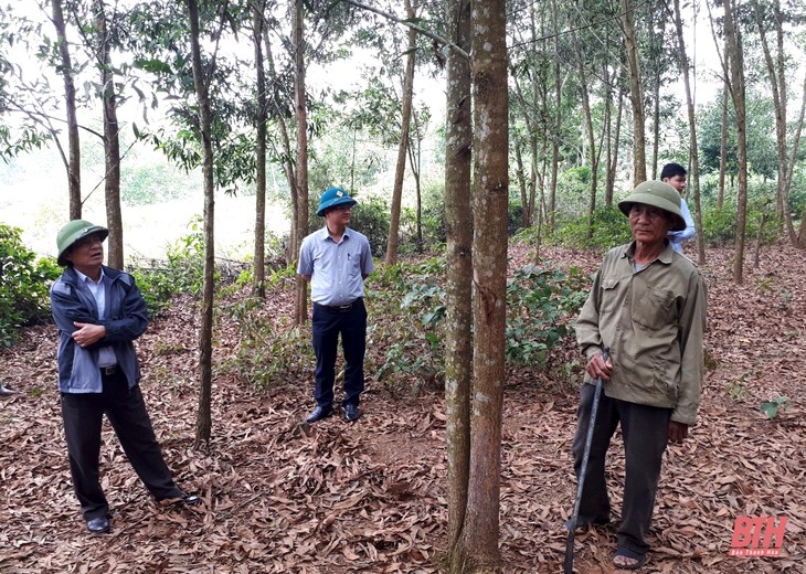 Thanh Hóa hơn 17.000 ha rừng được cấp chứng chỉ quốc tế FSC - ảnh 1