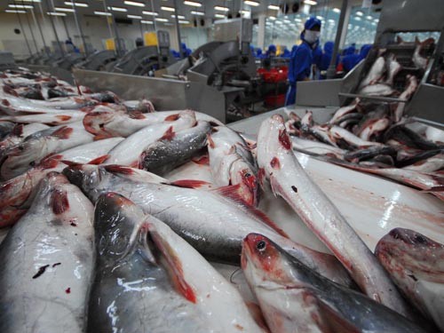 Senator AS menentang program pengawasan terhadap ikan Tra dan ikan Patin Vietnam  - ảnh 1