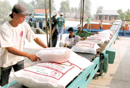  Vietnam mengekspor lagi 3,6 juta ton beras selama enam bulan akhir tahun 2012 - ảnh 1
