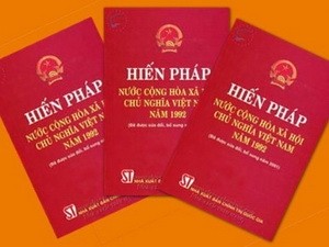 Kota Ho Chi Minh mengambil pendapat atas Rancangan Amandemen Undang-Undang Dasar - ảnh 1