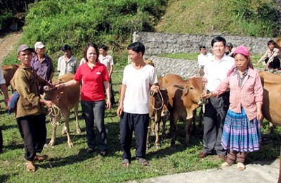 Pemerintah Vietnam memberikan bantuan keuangan kepada 23 kabupaten miskin. - ảnh 1