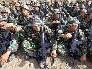 Tentara Indonesia dan Malaysia melakukan latihan perang bersama untuk melawan terorisme - ảnh 1