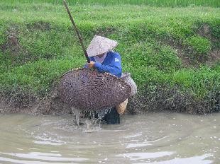 Perkenalan tentang alat-alat penangkap ikan tradisional Vietnam - ảnh 2