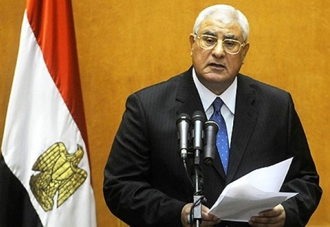 Presiden Sementara Mesir menyerukan kerujukan - ảnh 1