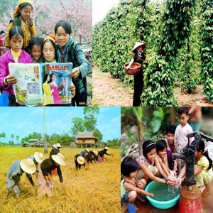 Vietnam mengubah cara pendekatan untuk mengurangi kemiskinan - ảnh 1