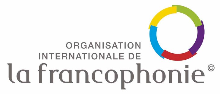 Mendorong kerjasama ekonomi - langkah perkembangan penting dalam kerjasama Francophonie - ảnh 1