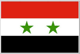 Suriah mengundang 11 negara untuk memantau pemilu Presiden - ảnh 1