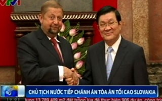Presiden Vietnam, Truong Tan Sang menerima Jaksa  Agung Slovakia - ảnh 1