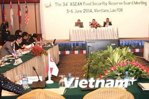 ASEAN berbagi informasi tentang ketahanan pangan dan nutrisi - ảnh 1