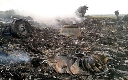 Para Menlu ASEAN dan Uni Eropa menguruk keras tembakan jatuh perawat terbang MH17 - ảnh 1