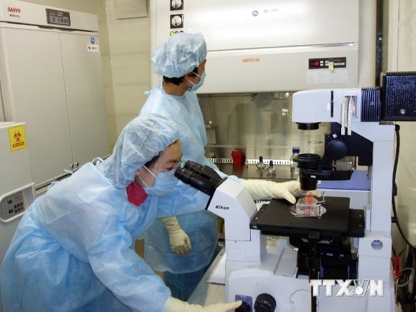 Vietnam cukup kemampuan untuk melakukan tes dan menetapkan  virus Ebola - ảnh 1