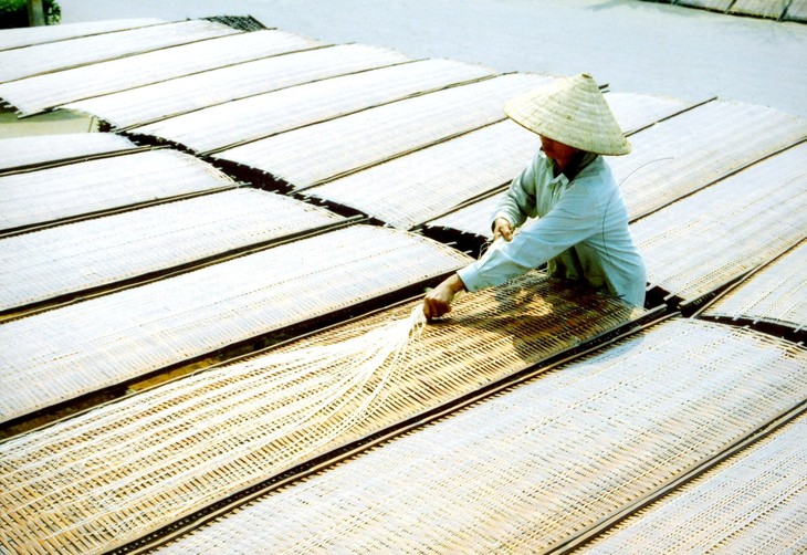 Produksi mihun di Vietnam  - ảnh 1
