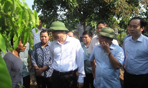 Deputi PM Vietnam Vu Van Ninh memeriksa pelaksanaan pembangunan pedesaan baru di propinsi Hung Yen - ảnh 1
