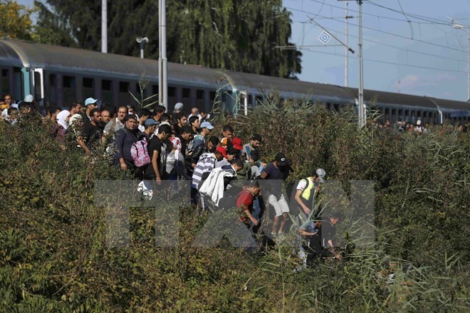 Angka rekor 280.000 orang migran tiba di Jerman pada September - ảnh 1