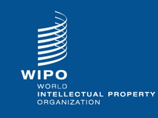 Hubungan kerjasama antara Vietnam dengan WIPO semakin berkembang - ảnh 1