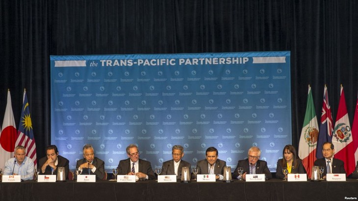 Traktat Kemitraan trans Pasifik: Ekonomi Vietnam diprakirakan  menghadapi momentum besar - ảnh 1
