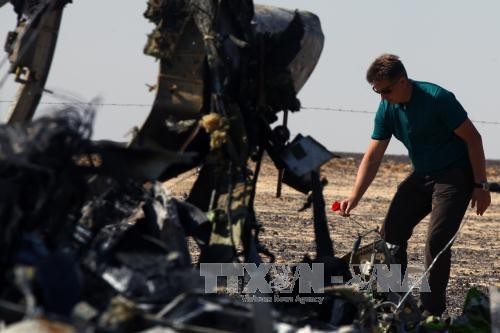 Pekerjaan investigasi di tempat kejadian jatuhnya pesawat Rusia di Mesir. - ảnh 1