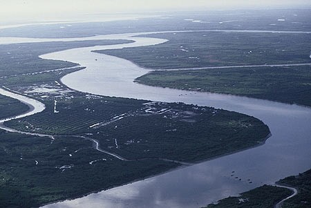 Memperkuat kerjasama penelitian antara AS dan para mitra di kawasan sungai Mekong - ảnh 1