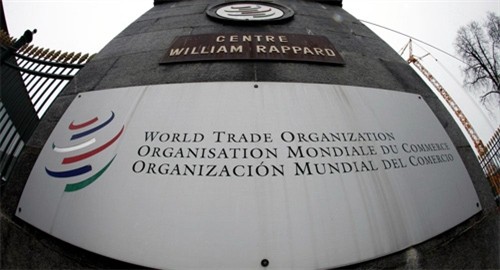Konferensi Menteri WTO untuk mengusahakan solusi mendorong perdagangan global - ảnh 1