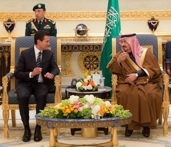 Meksiko dan Arab Saudi menandatangani 11 naskah kerjasama - ảnh 1