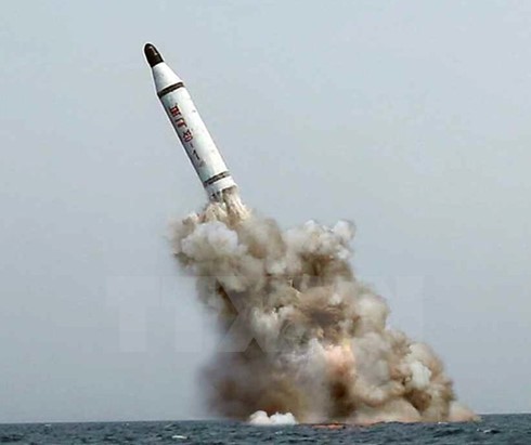 Republik Korea,AS dan Jepang melakukan pertemuan online mengenai peluncuran satelit  RDR Korea. - ảnh 1