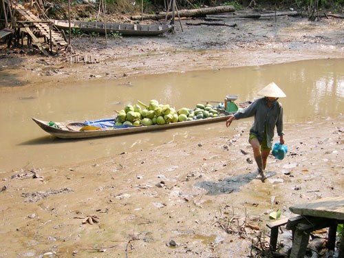 Persidangan ke-43 Komite Gabungan dari Asosiasi Sungai Mekong Internasional - ảnh 1