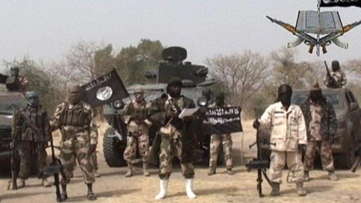 Kekuatan multi nasional membasmi dan menangkap kira-kira 400 pembangkang Boko Haram - ảnh 1