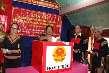 Pemilihan  lebih  dini diadakan di beberapa daerah di Vietnam - ảnh 1