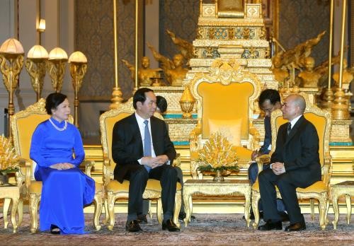 Presiden Vietnam, Tran Dai Quang melakukan pertemuan dengan Raja Norodom Sihamoni - ảnh 1