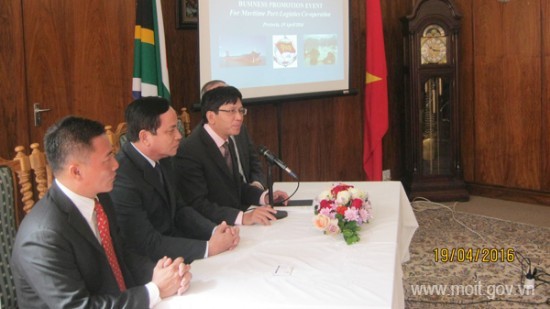 Vietnam dan Afrika Selatan mendorong kerjasama perdagangan, investasi dan pariwisata - ảnh 1