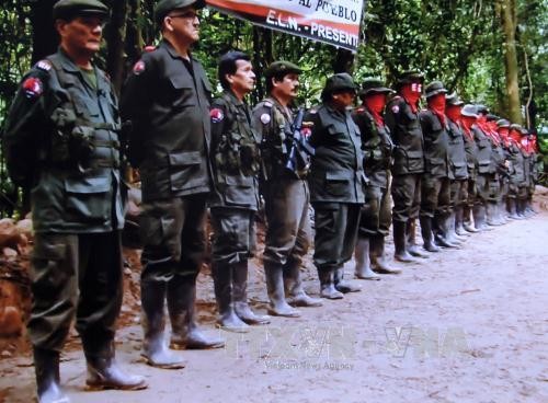 Pemerintah Kolombia dan FARC  menyerukan kerujukan nasional demi perdamaian  - ảnh 1