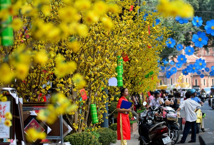 Kota Hanoi menyelenggarakan banyak aktivitas kebudayaan dan kesenian sehubungan dengan Hari Raya Tet - ảnh 1