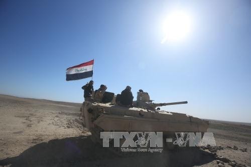  Tahap yang penting untuk memundurkan  pasukan IS dari Irak - ảnh 1