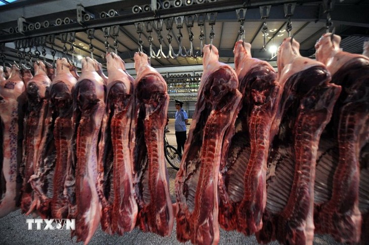 La Chine ouvre une enquête anti-dumping sur les importations de porc européen - ảnh 1