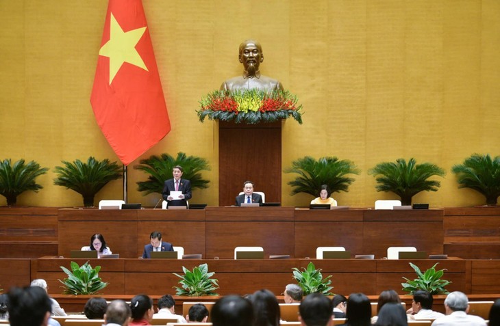 Intense débat à l'Assemblée nationale sur la réforme de la TVA au Vietnam - ảnh 1