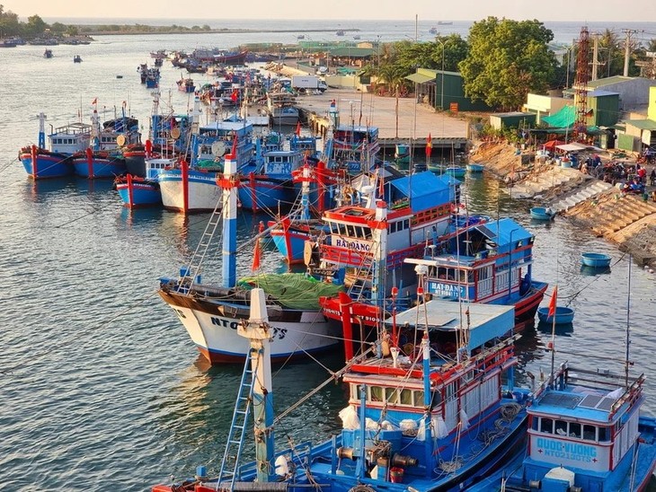 Le Vietnam sur la bonne voie pour faire lever le «carton jaune» sur la pêche illégale - ảnh 1