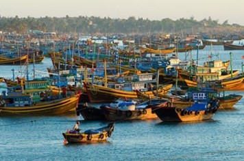Введённый Китаем запрет на рыболовство в Восточном море является абсурдным - ảnh 1