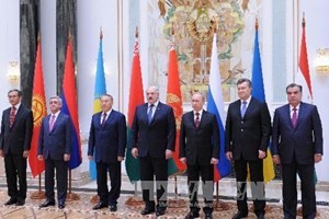 В Украине утверждена программа сотрудничества с Таможенным союзом до 2020 года - ảnh 1