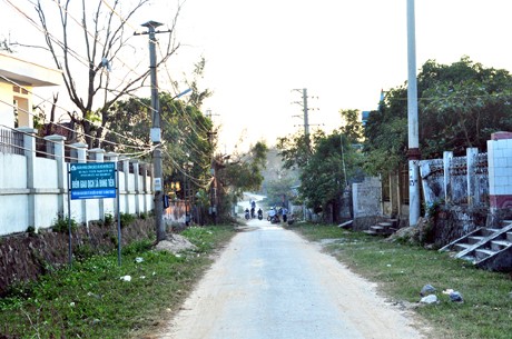 Островной уезд Кото отвечает всем критериям строительства новой деревни - ảnh 4