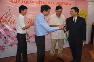 В Австралии состоялась новогодняя встреча представителей вьетнамской диаспоры - ảnh 1