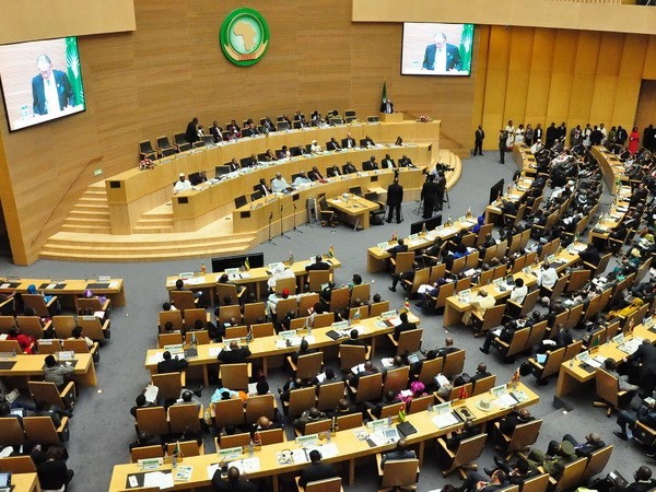 В Аддис-Абебе начался саммит Африканского союза - ảnh 1